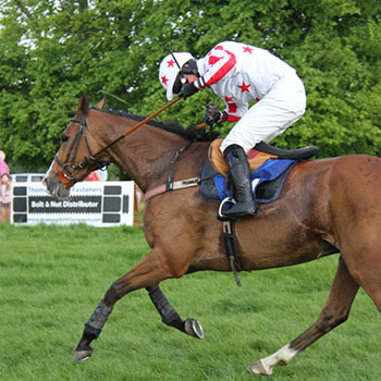 TSF Sponsors Knutsford Races